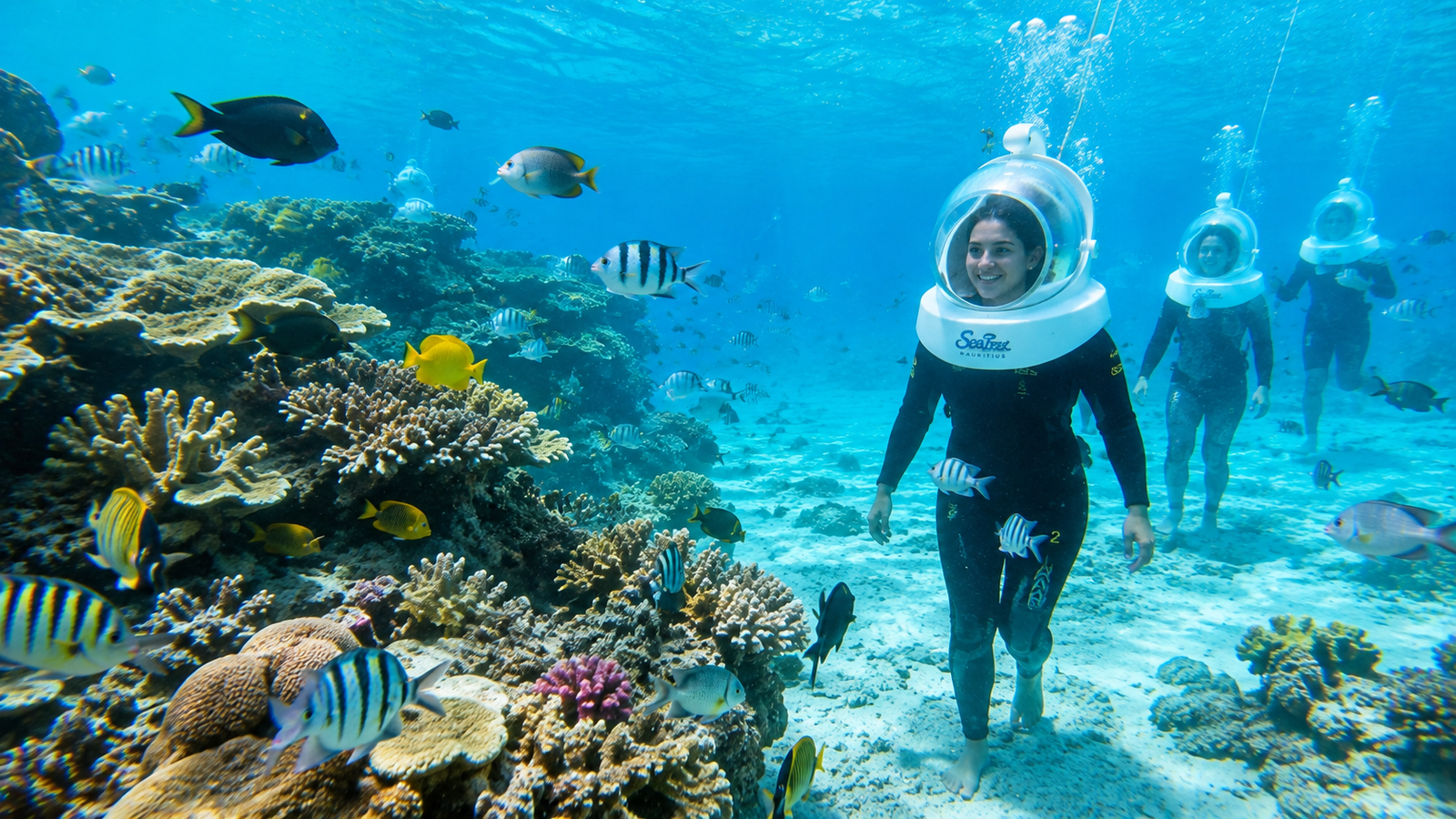 Coral Reef