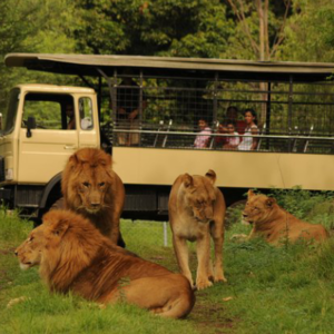 West Tour Mauritius